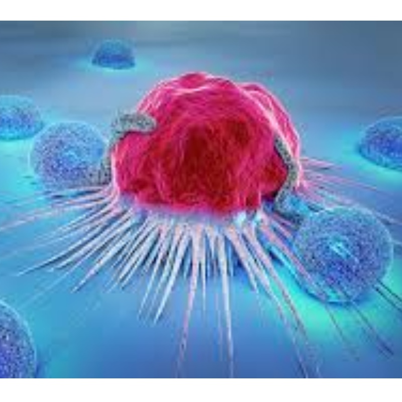 Japon: NMN résiste à la sénescence des cellules immunitaires et inhibe la croissance tumorale de 71,4%